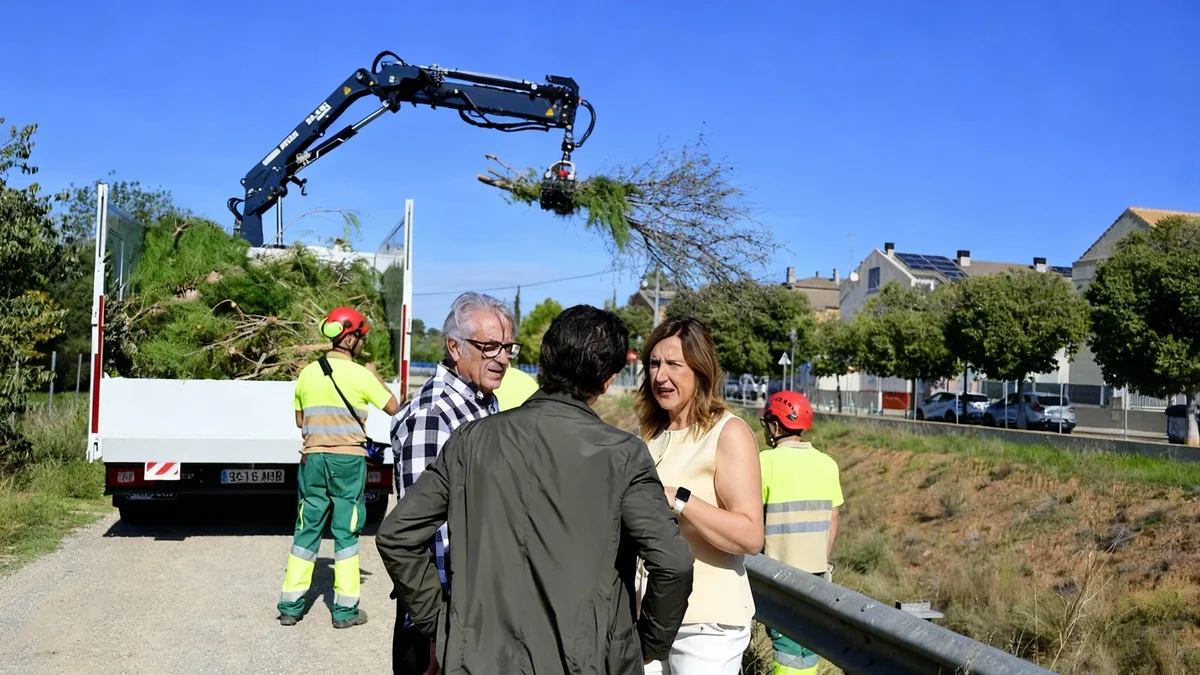 València limpia el barranco del Palmaret y advierte a la CHJ