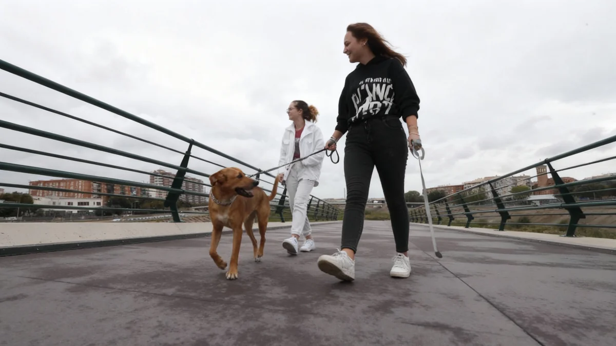 El Nuevo Cauce del Túria: El escudo de Valencia que debate su futuro