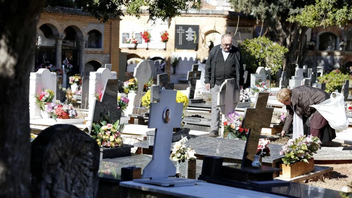 Guía para Todos los Santos en Valencia: transporte y horarios