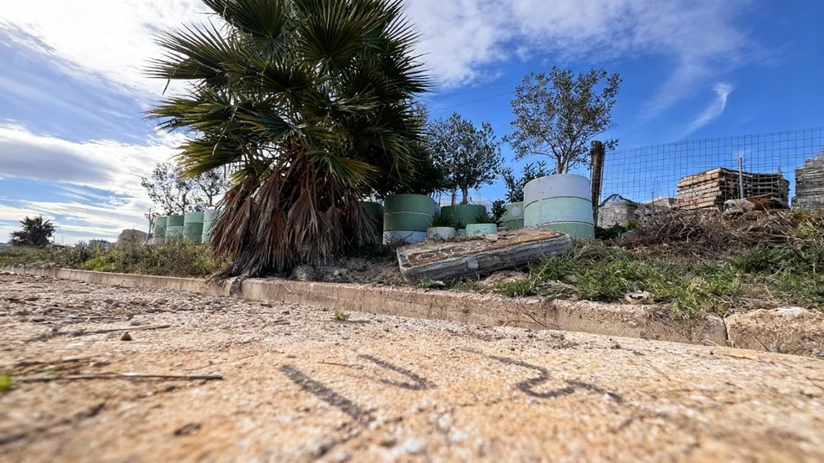 Polémica por los maceteros de la Plaza del Ayuntamiento abandonados en Alfafar